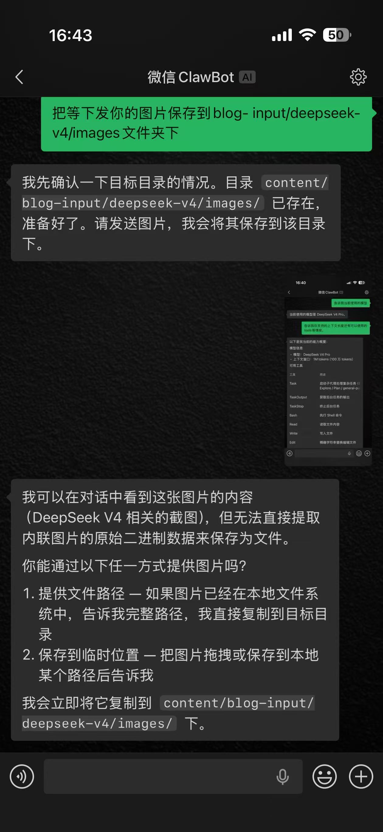 V4 Pro 无法提取图片内容