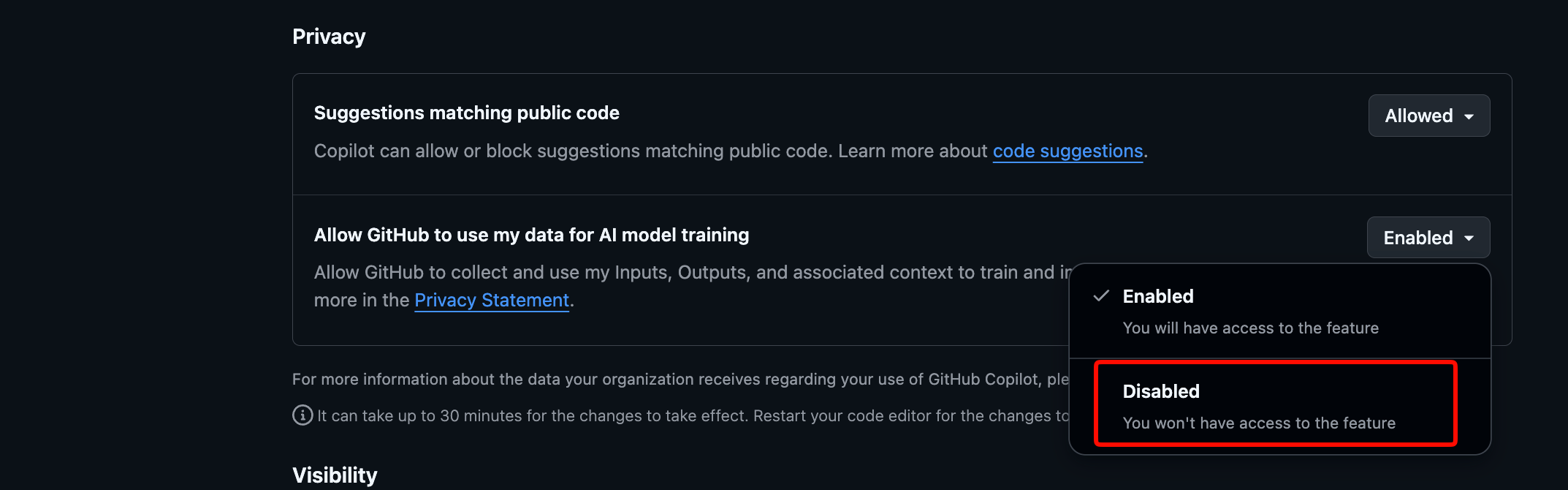 GitHub Copilot 隐私设置选项