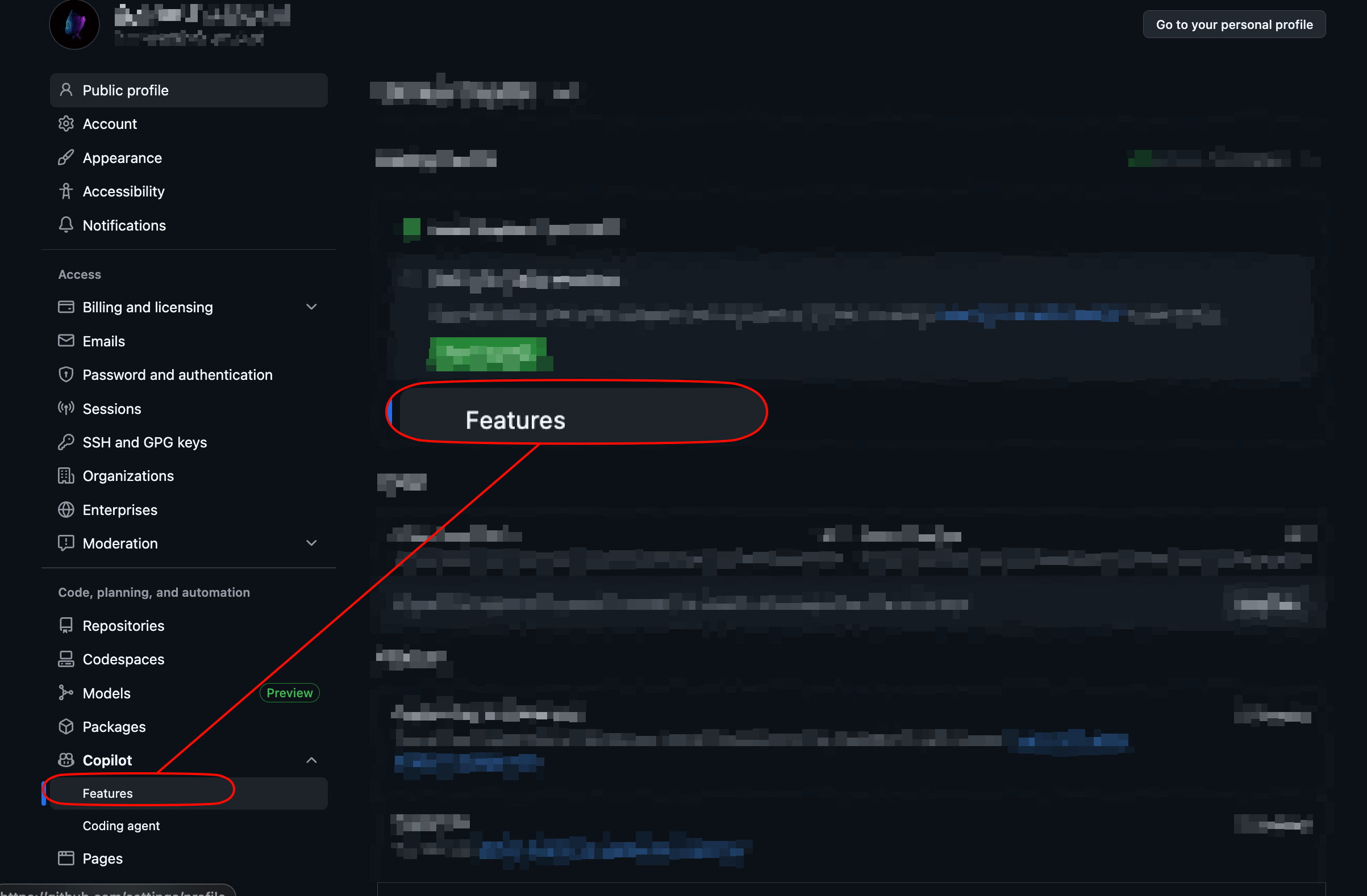 GitHub Copilot 设置界面