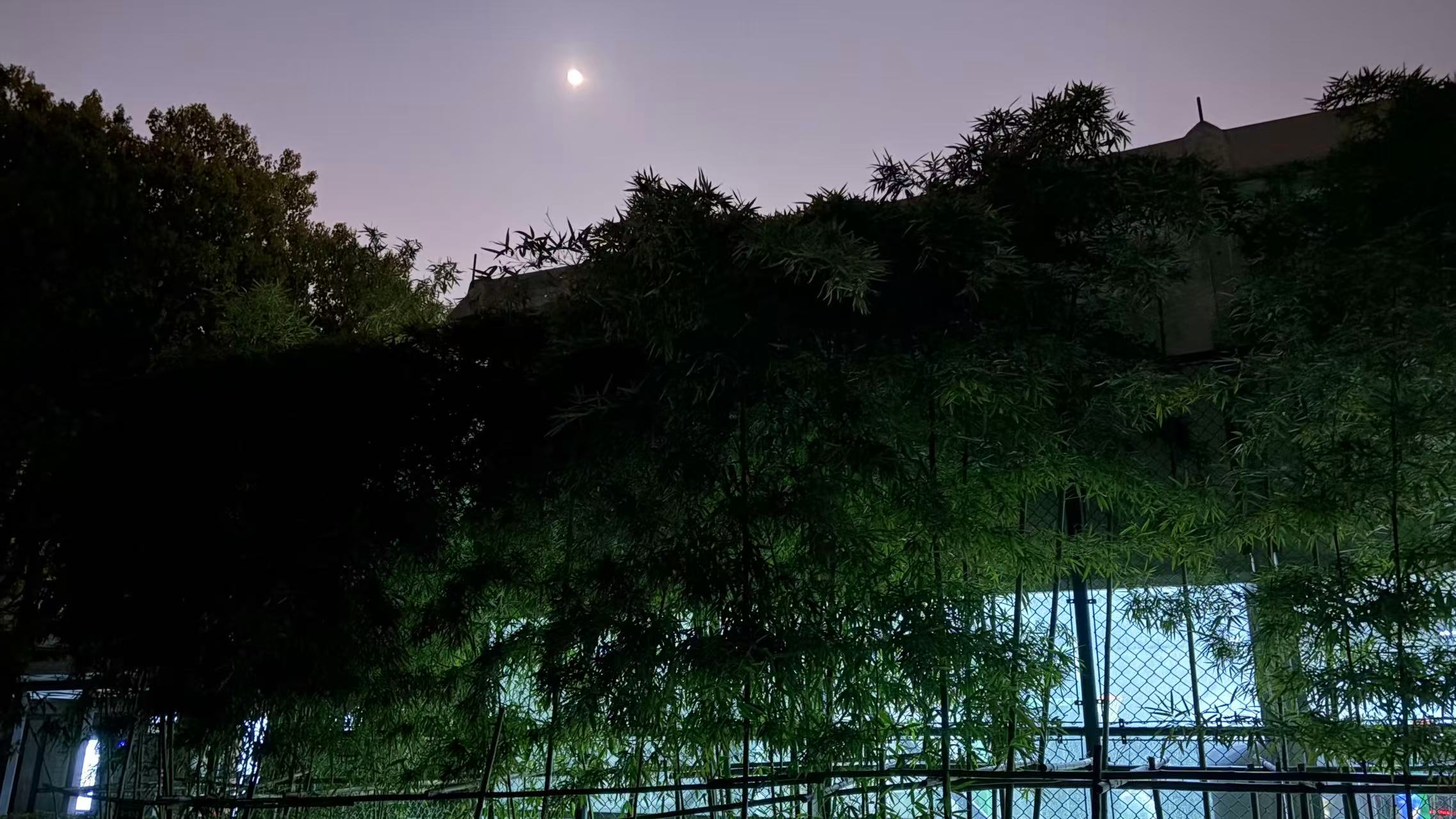 打篮球的人不少