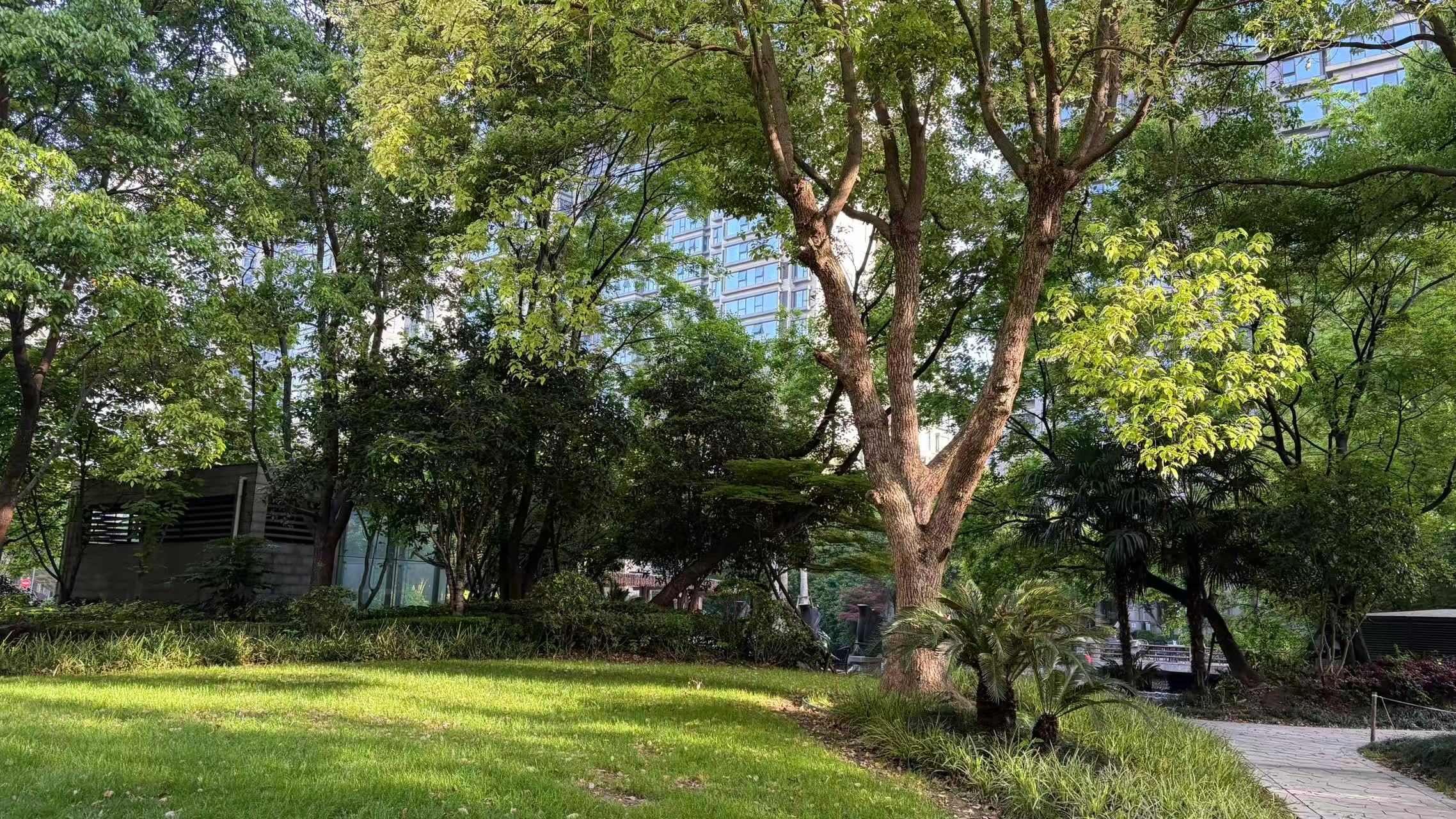 阳光