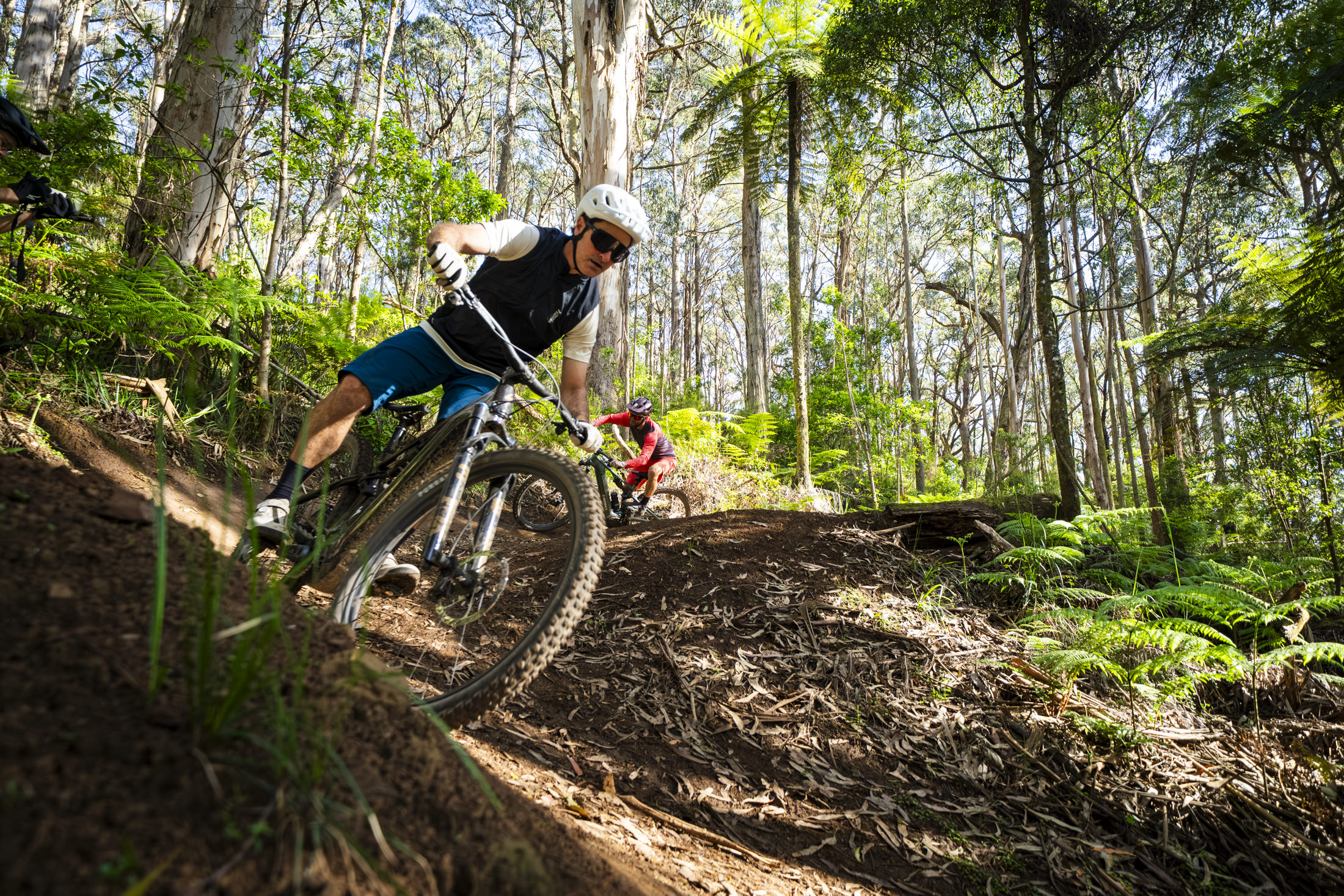Specialized Levo R 实际骑行