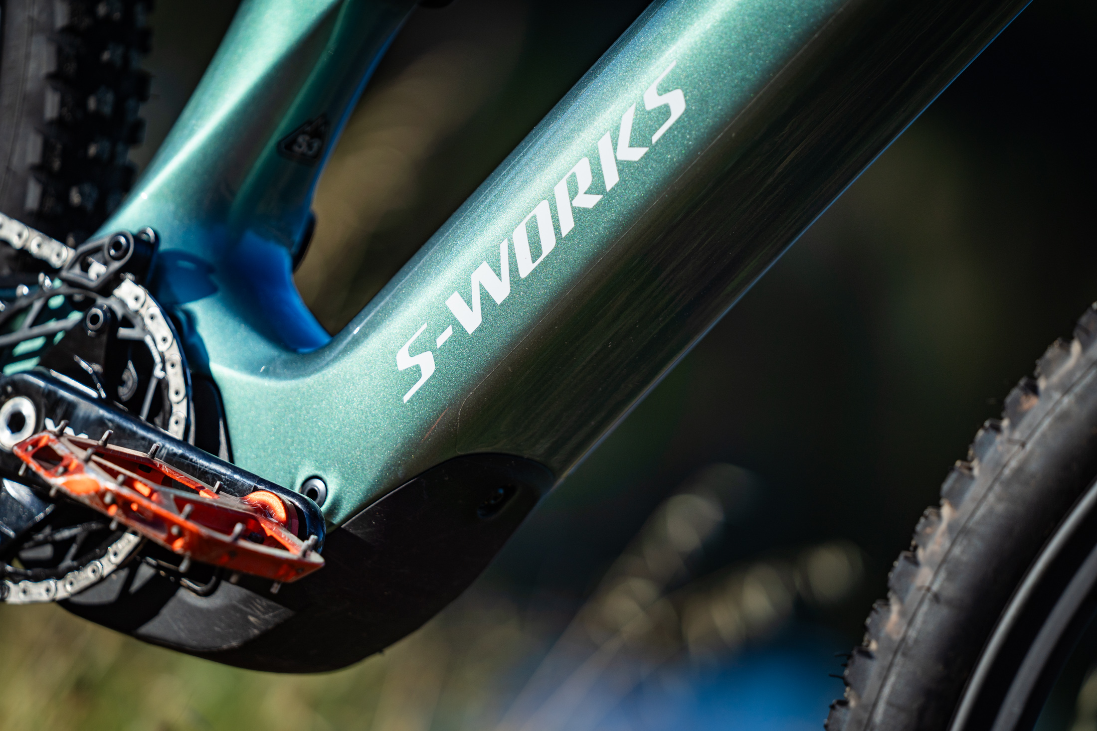 Specialized Levo R 细节展示